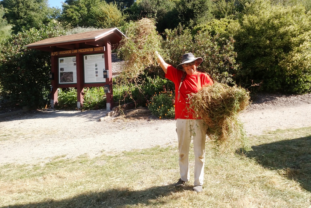 Judy taking weeds to the pile.